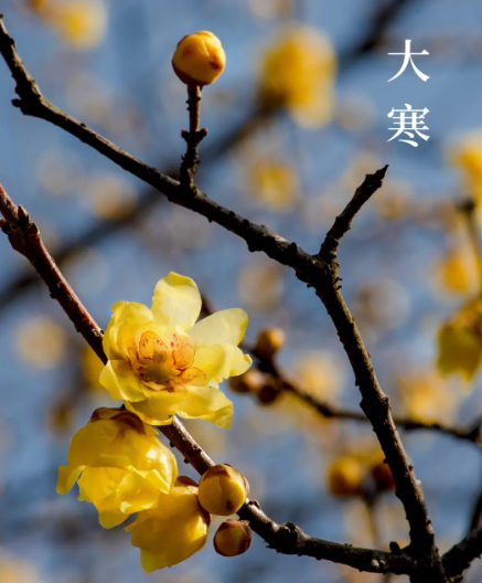 屏幕截图 2026-01-20 095236.png