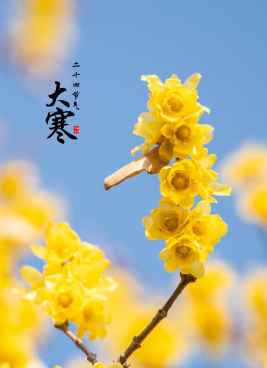 屏幕截图 2026-01-20 095223.png
